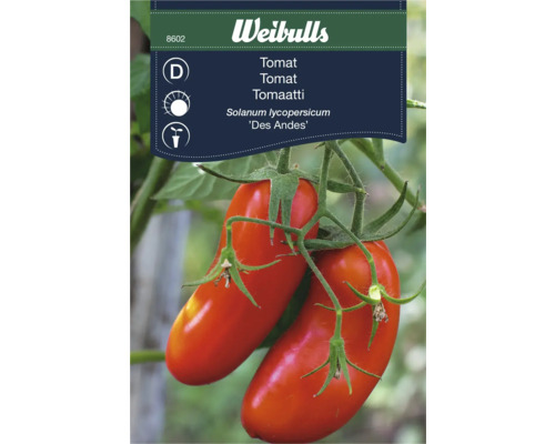 Tomatfrö WEIBULLS Solanum lycopersicum 'Des Andes'