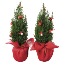 Två små dekorerade julgranar i kruka