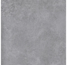 Grå klinkerplatta med betongutseende