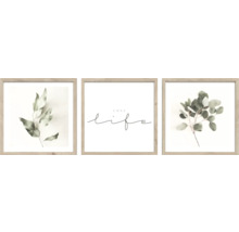 Inramad tavla set Blommor 30x30cm