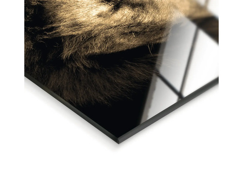 Närbild av ett inramat fotografi