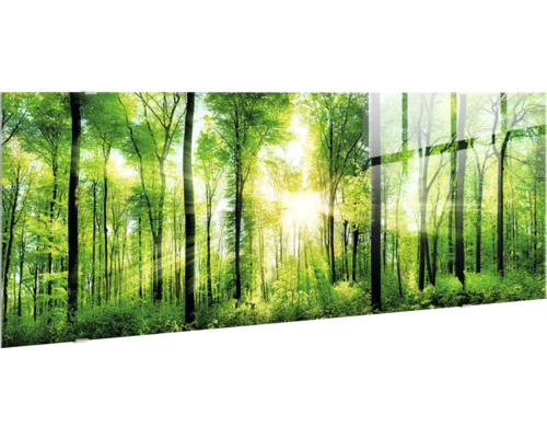 Glasbild med skogsmotiv och solljus