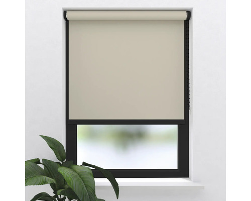 Fönster med rullgardin och växt