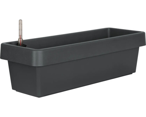 Självvattnande blomlåda GELI Viva plast 60cm antracit Grå blomlåda med vattennivåindikator