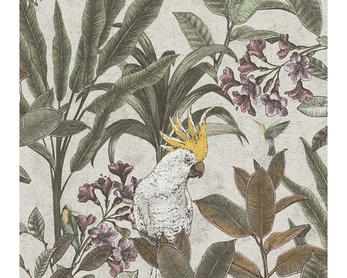 Tapet A.S. CRÉATION Kakadua creme 10,05x0,53m Tapet med växt-, fågel- och blomstermönster