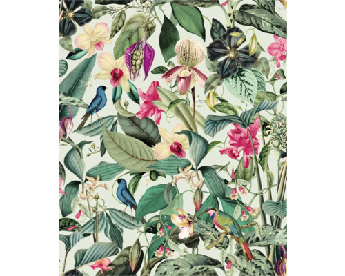 Tropiskt mönster med blommor och fåglar