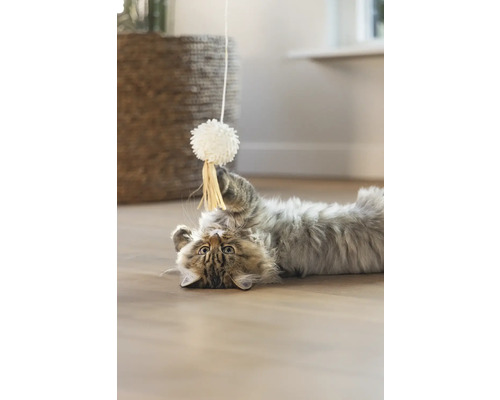 En katt ligger på rygg och leker med en leksak.