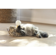 En katt leker med en leksaksboll i ett snöre på golvet.