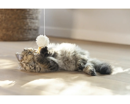 En katt leker med en leksaksboll i ett snöre på golvet.