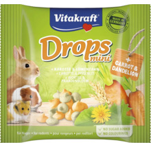 Vitakraft Drops Mini för gnagare med morot och maskros
