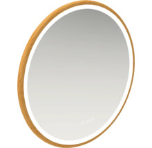 Oval spegel med träram och belysning