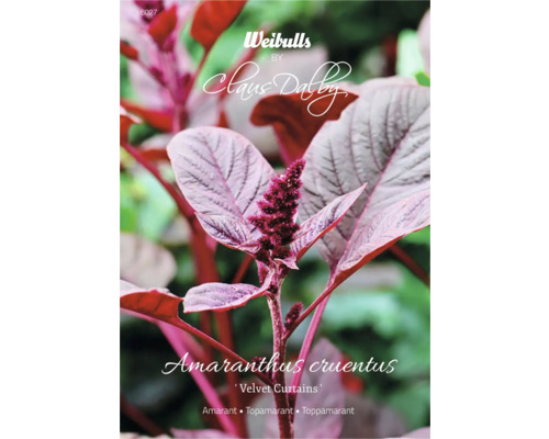 Blomfrö WEIBULLS by Claus Dalby Amarant Amaranthus cruentus 'Velvet Curtains' Amarant Velvet Curtains växt