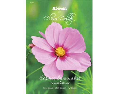 Blomfrö WEIBULLS by Claus Dalby Rosenskära Cosmos bipinnatus 'Sensation Gloria' Fröförpackning Cosmos bipinnatus ''Sensation Gloria'' med Weibulls logotyp