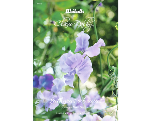 Blomfrö WEIBULLS by Claus Dalby Luktärt Lathyrus odoratus 'Spencer Noel Sutton' Fröförpackning luktärt ''Spencer Noel Sutton''