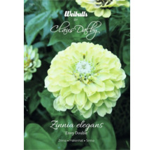 Blomfrö WEIBULLS by Claus Dalby Zinnia elegans 'Envy Double'