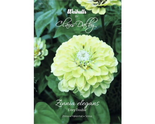 Blomfrö WEIBULLS by Claus Dalby Zinnia elegans 'Envy Double'