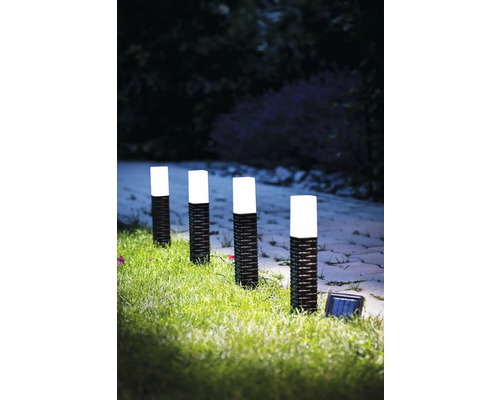 Trädgårdsgång med solcellslampor i polyrotting