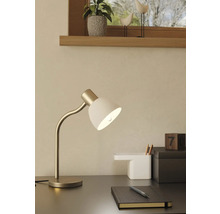 Skrivbord med skrivbordslampa, anteckningsbok, penna och dekoration för en trevlig arbetsmiljö