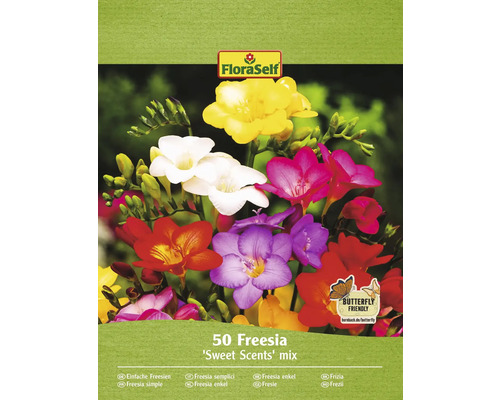 Blomsterlökar FLORASELF Freesia 'Sweet Sence Mix' 50st