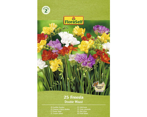 Blomsterlök FLORASELF Freesia 'Fylld blandning' 25st