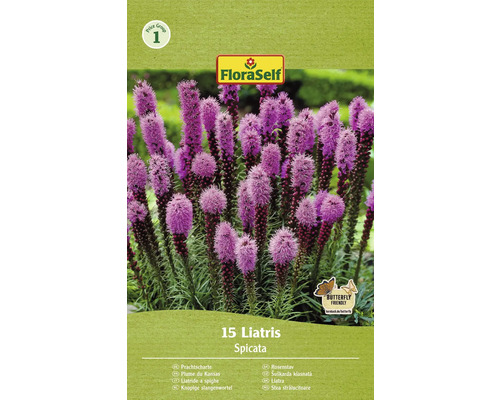 Blomsterlökar FLORASELF Rosenstav Liatris spicata 15st