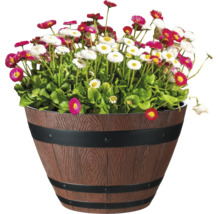 Blommor i en planteringslåda med tunnutseende