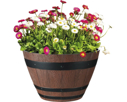 Blommor i en planteringslåda med tunnutseende