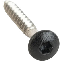 Skruv med Torx-drivning