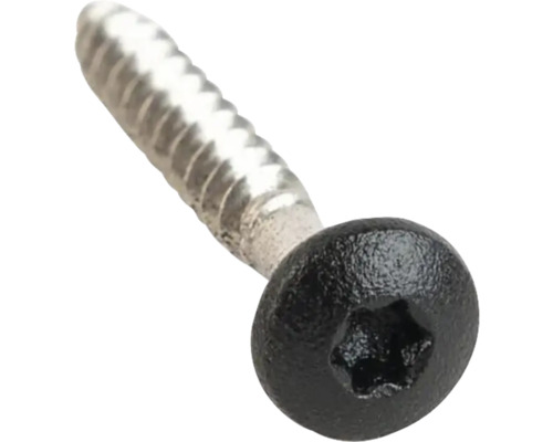 Skruv med Torx-drivning