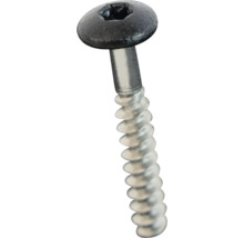 Träskruv med torx-drift