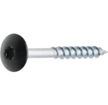 Linshuvudskruv med torxdrift