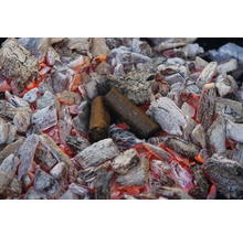 Glödande grillkol med träkolsbriketter