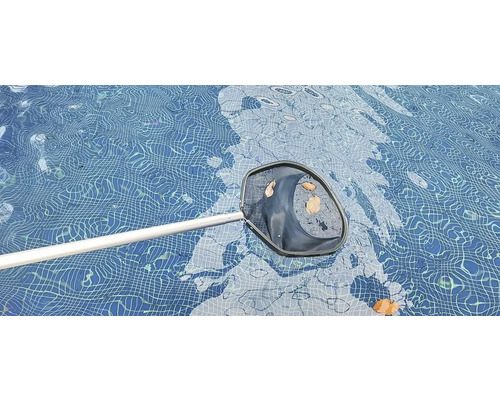 Poolhåv med löv i poolen