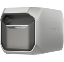 EcoFlow Smart Extrabatteri