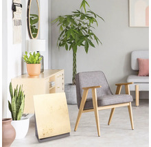 Vardagsrum med fåtölj, byrå, växter och dekorationer för en ljus och organiserad atmosfär.