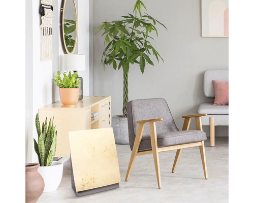 Vardagsrum med fåtölj, byrå, växter och dekorationer för en ljus och organiserad atmosfär.