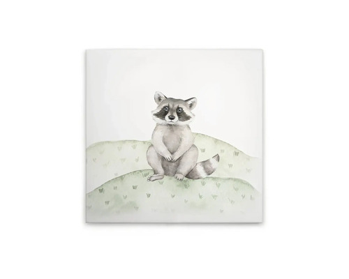 Canvastavla med en tvättbjörn på en kulle