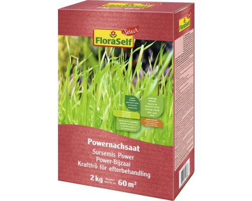 Gräsfrö FLORASELF Select Kraftfrö för efterbehandling 2kg/60m²