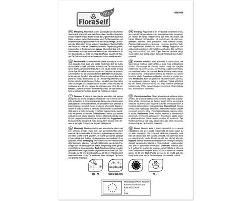 FloraSelf Infotext om pepparrot