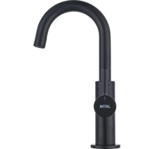 Avital köksblandare med hög pip