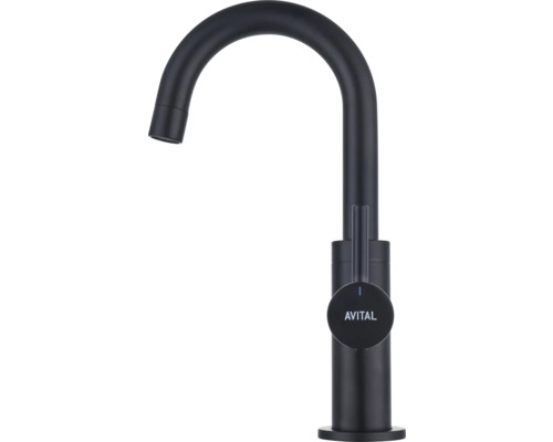 Avital köksblandare med hög pip