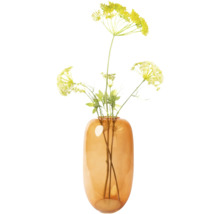 Dekorativa blommor i en vas