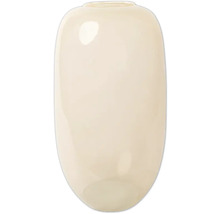 Oval vas av glas
