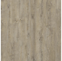 Provbit: Vinylgolv Bainbridge furu