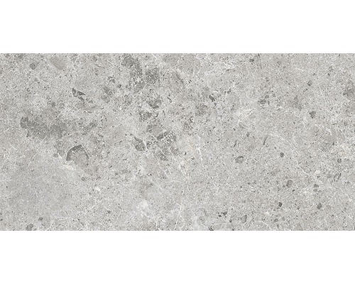 Klinker Terrazzo Sarite stone grå 30x60 cm 405348