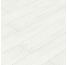 Provbit: Laminatgolv KAINDL MasterFloor Kodiak furu
