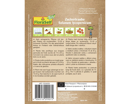 Växtbeskrivning Zuckertraube Solanum lycopersicum