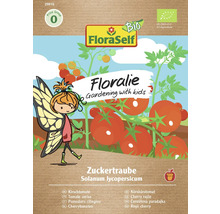 Floralies Zuckertraube körsbärstomatfrön