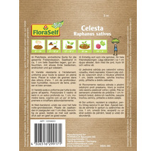 Ekologiskt rädisefrö FLORASELF FLORALIE & FLO Celesta