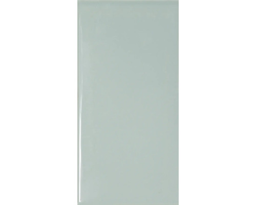 Kakel alga fasad metro grön blank 10x20x0,7cm Keramisk platta